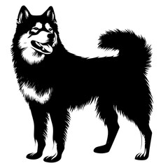 vector silhouette of a Alaskan Malamute