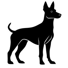 vector silhouette of a Basenji