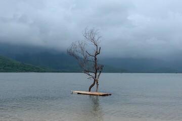 Misty morning on the lake - Vietnam