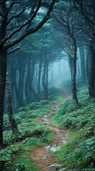Fototapeta premium Misty forest with tall trees and a winding path through the greenery