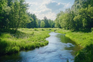 Fototapeta premium This image depicts a pristine natural scene featuring a small river flowing through an expansive forest with lush vegetation. The water is clear and reflects the sunlight