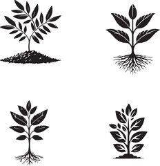 silhouette of clean vector Plant Sprout   isolated on white background

