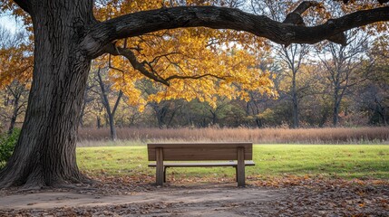 Empty park bench under a large tree in autumn generated AI