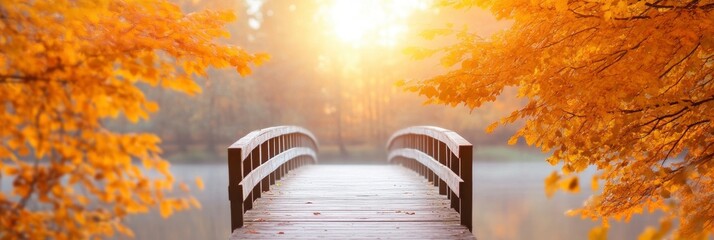 A landscape of autumn nature. The lake bridge located in the fall woodland. The gold woodland path.