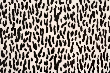 Black and white animal skin print with abstract pattern and irregular spots for fashion background