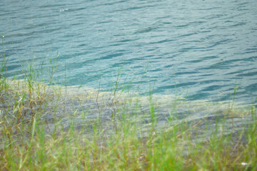 Lake with blue water