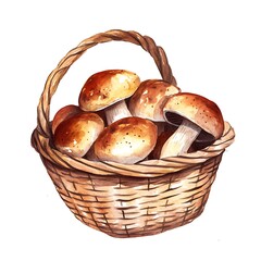 Watercolor Illustration of a Basket of Mushrooms.