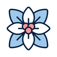 Poinsettia, adding festive color to your garden's winter landscape