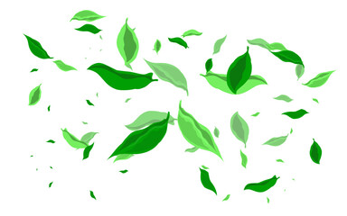 collection of green leaves icons falling on white background