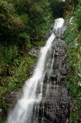 waterfall in the forest