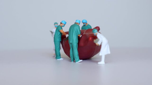 Group of doctors in uniforms using tools and tablets to examine a large model of the human liver in a 360-degree spin video.
