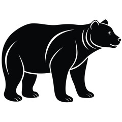 illustration of a bear