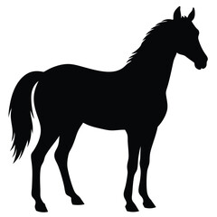 silhouette of a horse