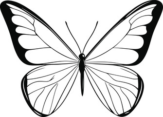 Elegant One-Line Draw Vector Illustration of a Beautiful Butterfly for Minimalist and Nature-Inspired Designs