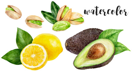 Hand-Painted Watercolor Avocado, Lemon, and Pistachio Botanical Illustration