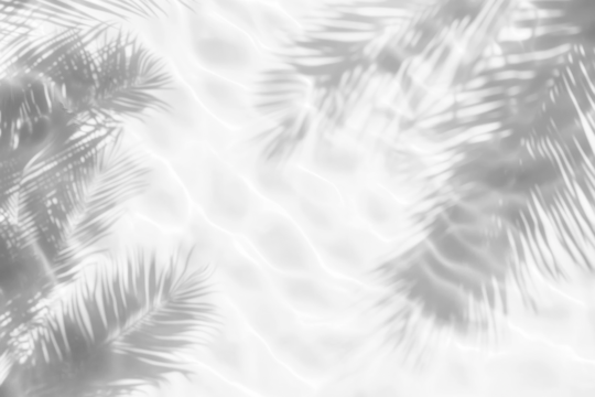 PNG Palm leaves shadow on water background abstract shadows.