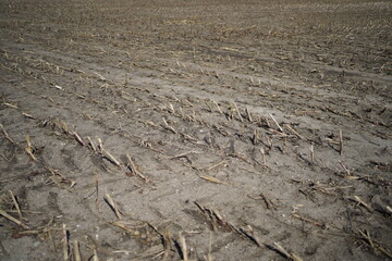 plowed field with soil