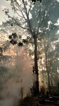 village cemetery in the morning