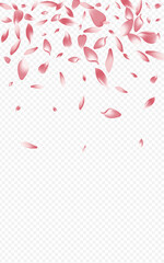 1600x2560grad-01__Pudra1_01.eps