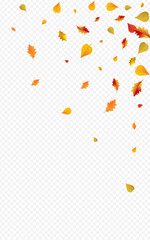 1600x2560-01__osen_2_01.eps