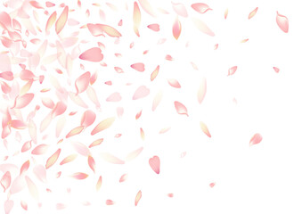 2400x170048__Persik_Sakura1_01.eps