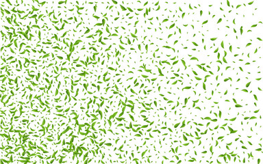 2560x1600ggr32__leif_1_01.eps