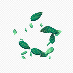green_leaf_transparent_background27.eps