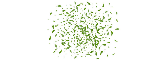 Obraz premium Leaves_Vortex_Flying_Vector_Background_35.eps