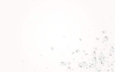 White_petals_gray_background_347.eps