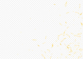 Yellow_petals_transparent_background_990.eps