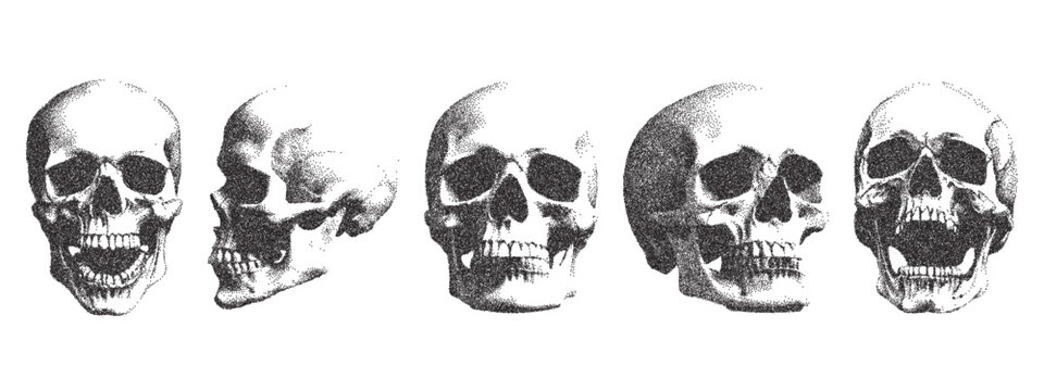Vector skull. Trendy monochrome retro elements. Modern stipple dots texture for design art. y2k collage set for poster, banner, cover.