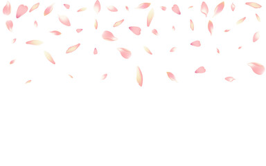 2560x1600ggr34__Persik1_01.eps