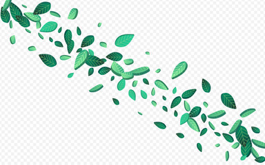 green_leaf_transparent_background455.eps