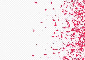Pink_Petal_Flying_Vector_Transparent_281.eps