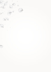 White_petals_gray_background_582.eps