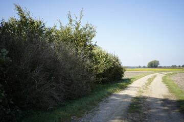 road in the countryside