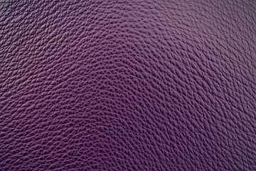 Purple Grain Leather Texture. Background.