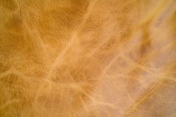 Natural Brown Grain Leather Texture. Background.