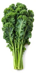 Fresh Bunch of Kale Leaves Isolated on White Background