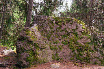 Stone landscape in a forest. Large stone with moss