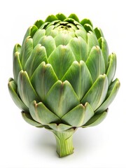 Artichoke Isolated on White Background