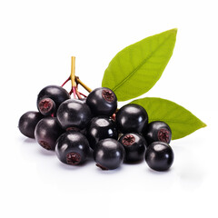 Fototapeta premium Aronia isolated on white background