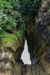 Beautiful Tropical Island in Panama with Lush Greenery, Exotic Wildlife Surrounded by the Caribbean Ocean, Perfect for Adventure, Travel, Nature Photography, and Outdoor Exploration