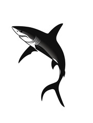 Fototapeta premium Black shark silhouette, white isolate background