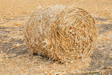Round hay bale in harvested field, symbolizing autumn harvest and agricultural productivity