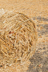 Close-up of a large hay bale in a dry field symbolizing autumn harvest and sustainable farming practices