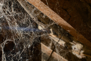 Abandoned attic covered in dust and cobwebs, evoking a spooky Halloween setting and highlighting...
