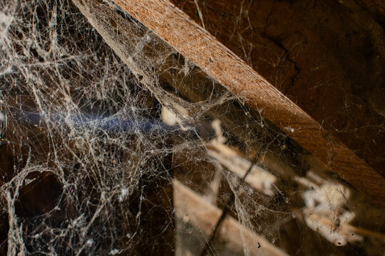 Abandoned attic covered in dust and cobwebs, evoking a spooky Halloween setting and highlighting neglect