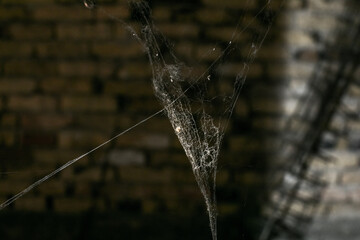 Close-up of a cobweb in an abandoned brick building, depicting neglect and perfect for...