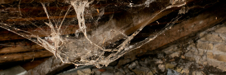 A close-up of cobwebs in an attic, symbolizing neglect and the need for spring cleaning